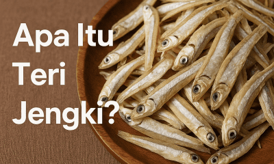 Teri Jengki