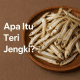 Teri Jengki