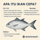 Ikan Cepa