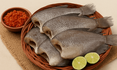 apa itu Ikan Asin Sepat?