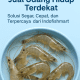 jual udang hidup terdekat