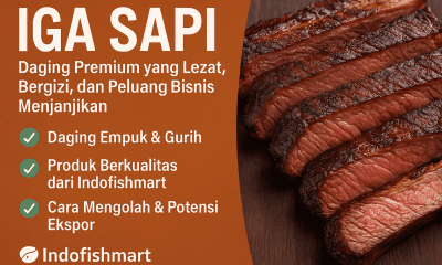 Iga sapi