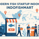 Fish Startup